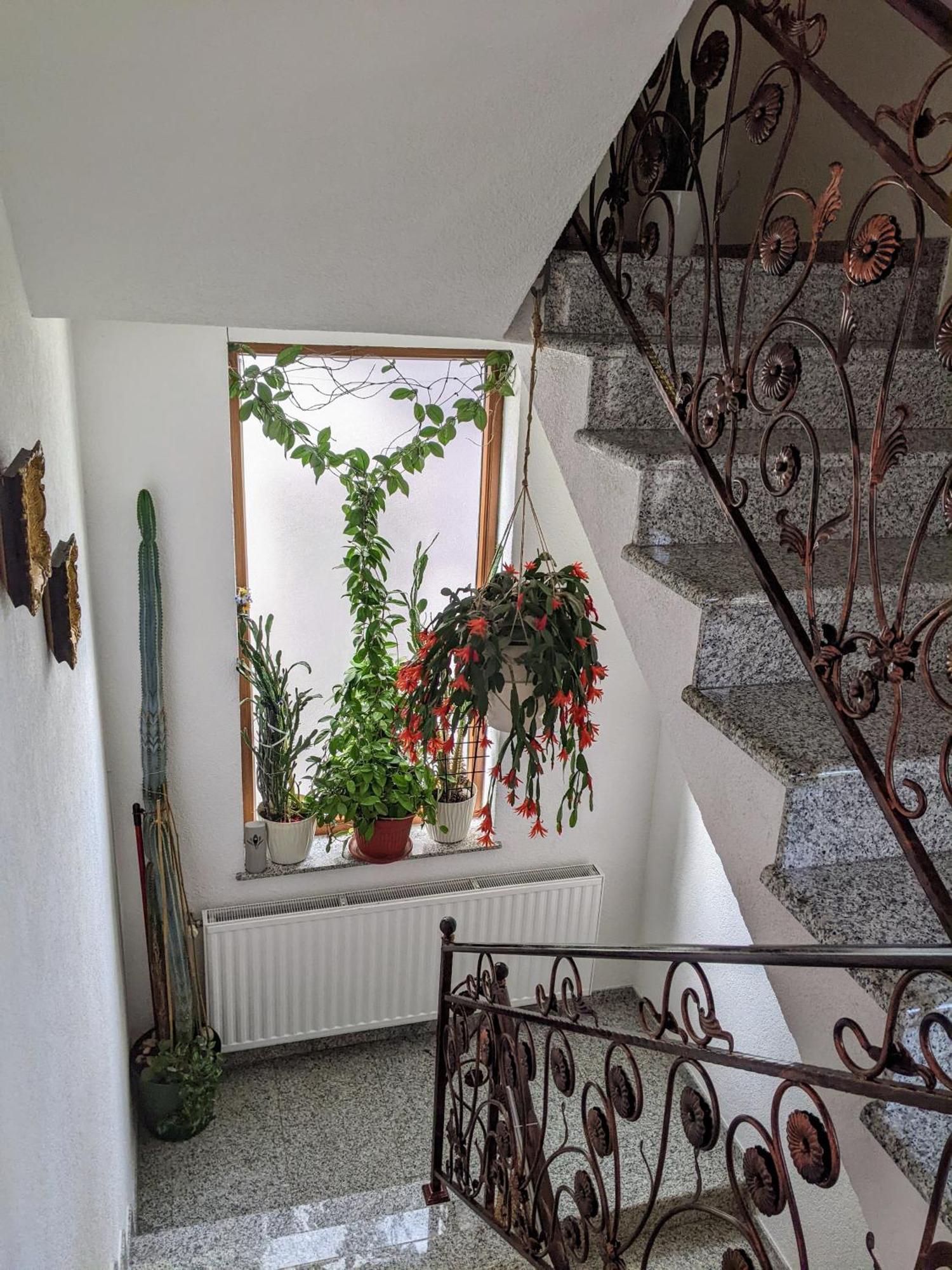Apartmani Hrastik Bihac Luaran gambar