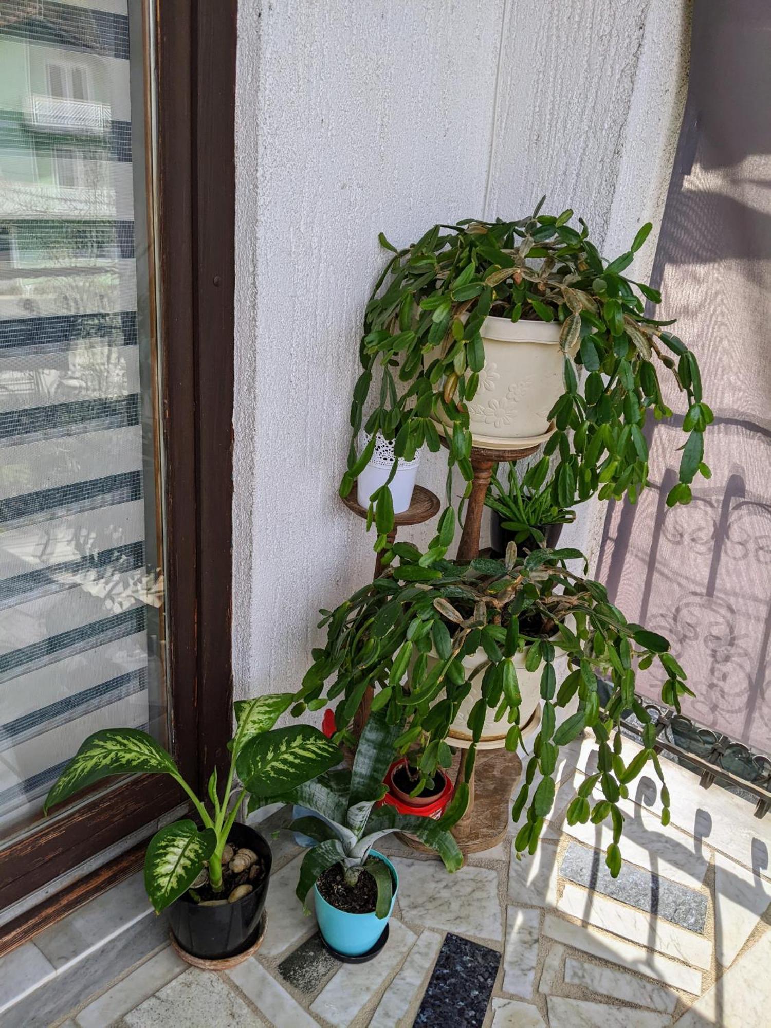 Apartmani Hrastik Bihac Bilik gambar