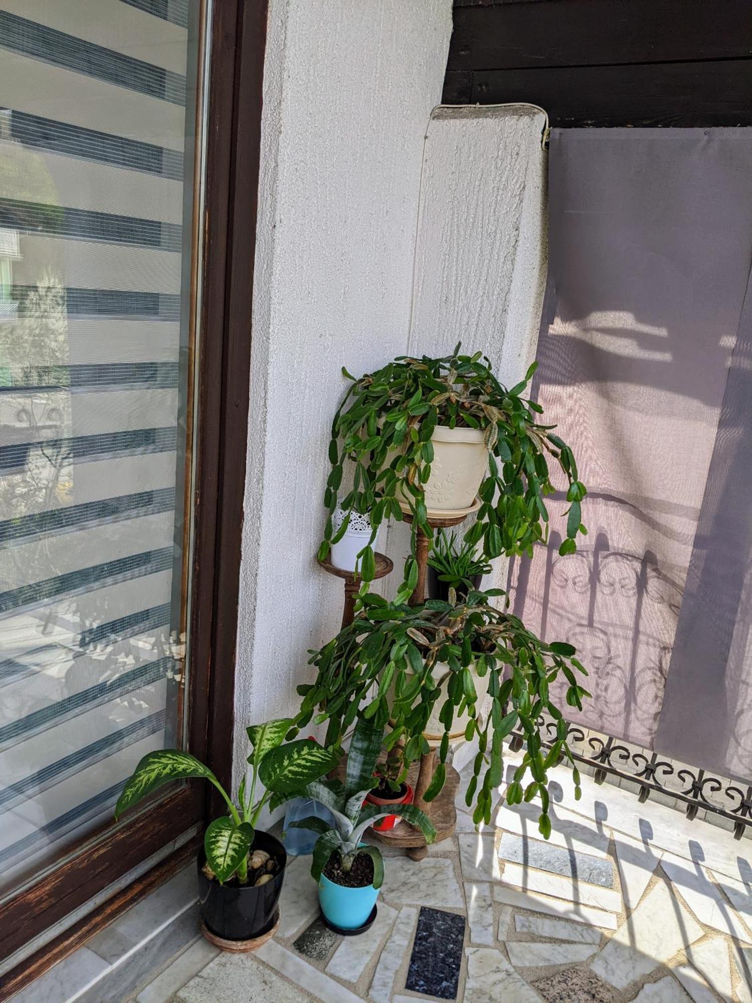 Apartmani Hrastik Bihac Bilik gambar